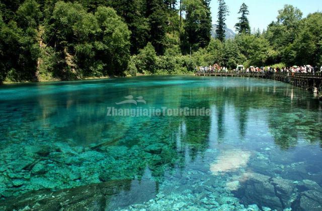 Jiuzhaigou Charming Five-Color Pond