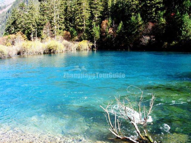 Jiuzhaigou Blue Lake