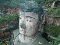 Head of the Giant Buddha in Leshan China