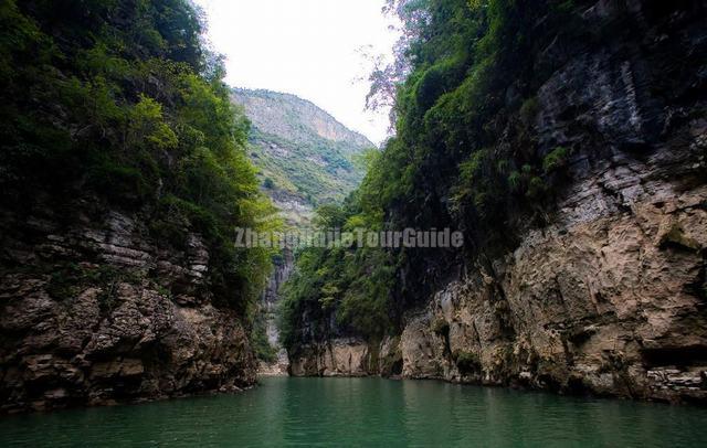 Attractive Lesser Three Gorges 