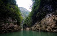 Attractive Lesser Three Gorges 