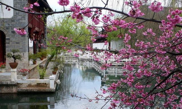 Ancient City of Lijiang Spring Scenery