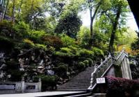 Lingyin Temple Ladder China