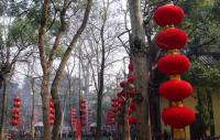 Lingyin Temple Activity Hangzhou