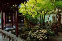 Master of Net's Garden Beautiful Landscape China