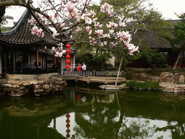 Master of Net's Garden Charming Scenery Suzhou