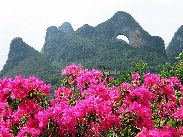 Moon Hill Charming Landscape Yangshuo