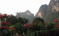 Moon Hill Beautiful Scenery Yangshuo