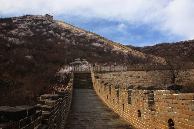 Mutianyu Great Wall Beautiful Scenery