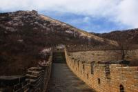 Mutianyu Great Wall Beautiful Scenery