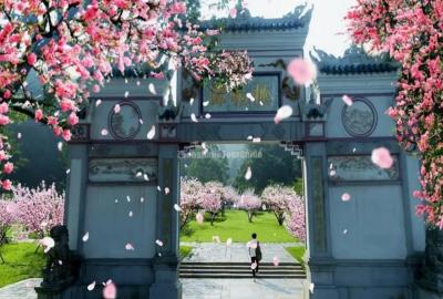 Peach Blossom Garden