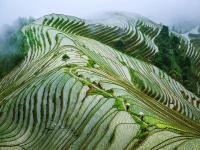 Longsheng Rice Terraces