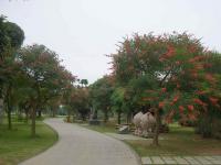 Nanning Qingxiu Mountain Landscape