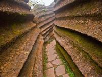 Red Stone Forest National Geopark 