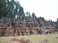 Red Stone Forest National Geopark 