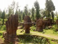 Red Stone Forest National Geopark 