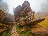 Red Stone Forest National Geopark 