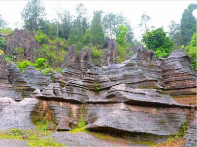 Red Stone Forest National Geopark 