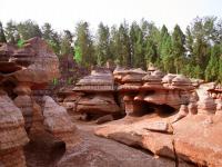 Red Stone Forest National Geopark 