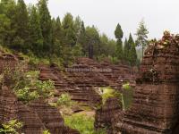 Red Stone Forest National Geopark 