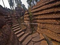 Red Stone Forest National Geopark 