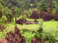 Red Stone Forest National Geopark 