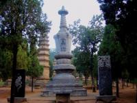 Shaolin Temple Spectacular Pagoda Forest Zhengzhou