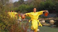 Shaolin Temple Monks Practicing Zhengzhou