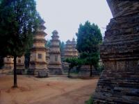 Shaolin Temple Marvelous Pagoda Forest China