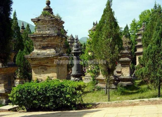 Pagoda Forest in Shaolin Temple Zhengzhou