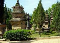 Pagoda Forest in Shaolin Temple Zhengzhou