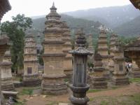 Shaolin Temple Pagoda Forest Henan China