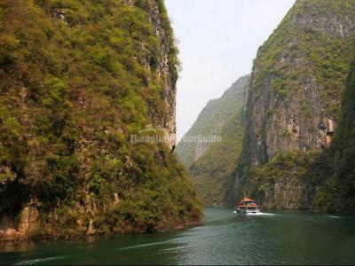 Shennong Stream