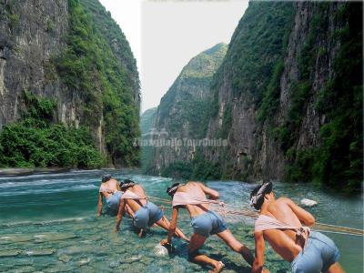 Shennv Stream