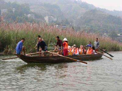 Shennong Stream