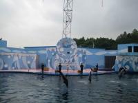 Shenzhen Safari Park Dolphin Show