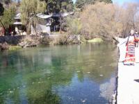 Shuhe Old Town Autumn Scenery Lijiang