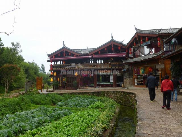 Shuhe Old Town Building and Vegetable Plot Lijiang