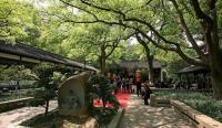 Visitors Visit Six Harmonies Pagoda Hangzhou