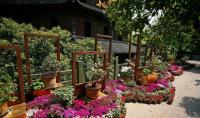 Six Harmonies Pagoda Beautiful Landscape Hangzhou