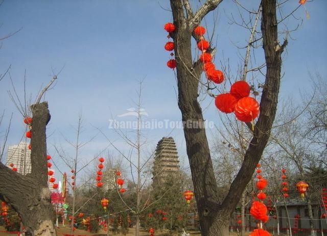 Small Goose Pagoda Welcome Festival Xian