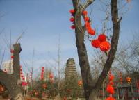 Small Goose Pagoda Welcome Festival Xian