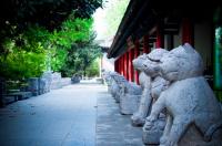 Small Goose Pagoda Stone Animals Xian