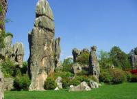 Stone Forest Beautiful Landscape Kunming