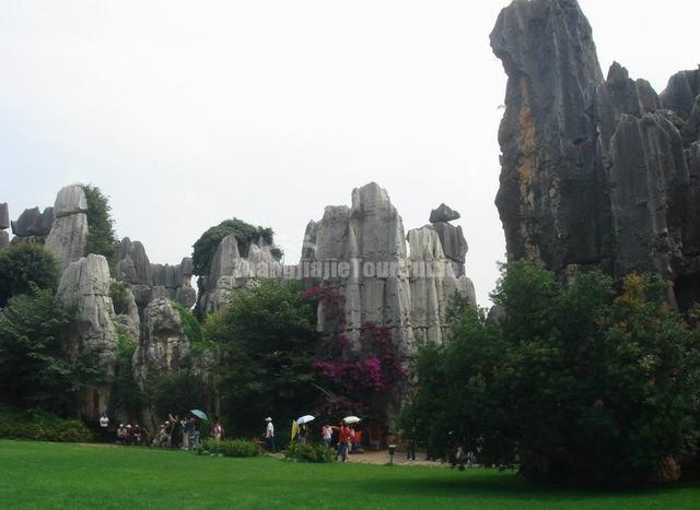 Stone Forest Kunming