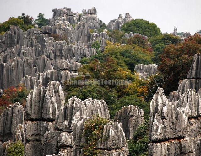 Spectacular Stone Forest Kunming