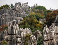 Spectacular Stone Forest Kunming