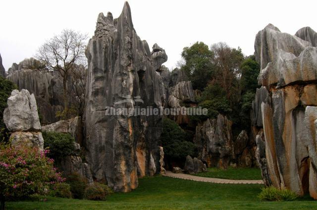 Kunming Charming Stone Forest