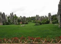 Kunming Stone Forest Scenery