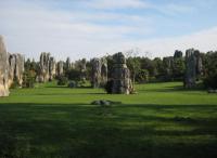 Attractive Stone Forest China